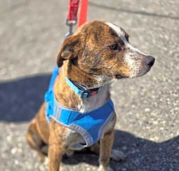 Photo of Maverick