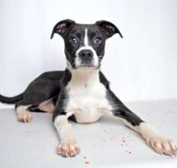 Photo of Baxter (prison)