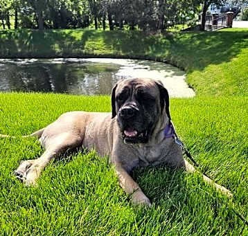 Photo of Arabella