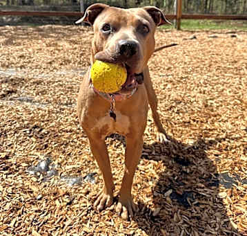 Photo of Lila