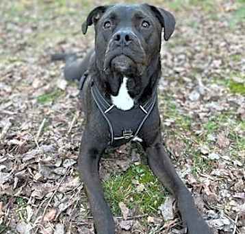 Photo of Coco
