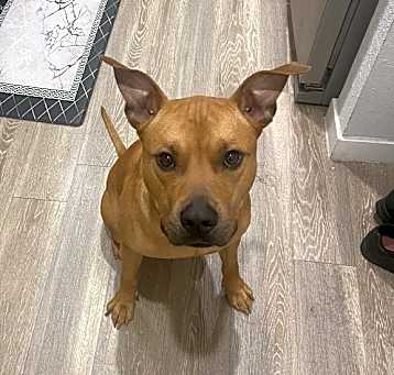 Photo of Reese