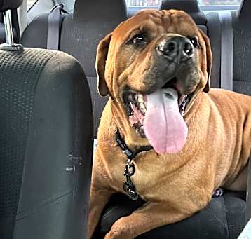 Photo of Major