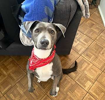 Photo of Simon