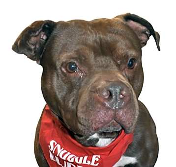 Photo of Ace