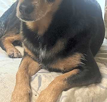 Photo of Jack