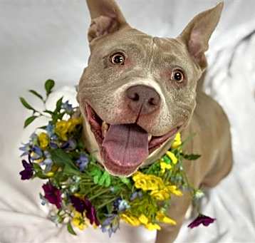 Photo of MOCCA