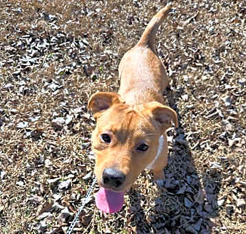 Photo of Chase