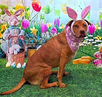 Photo of Ginny