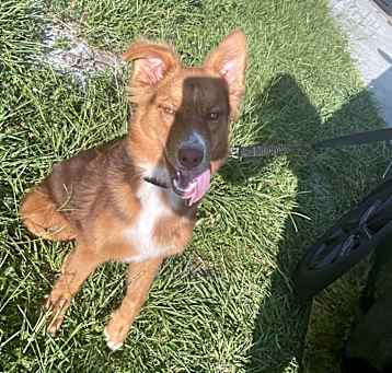Photo of Mylo