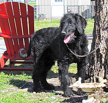Photo of ROLAND