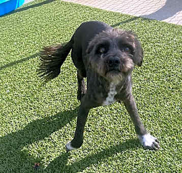 Photo of Libby