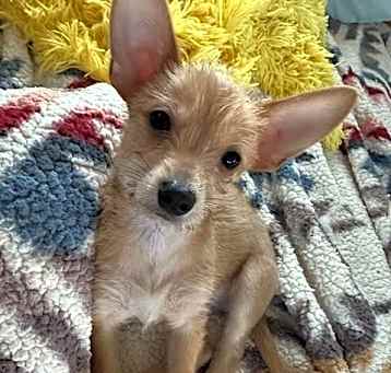 Photo of Axel