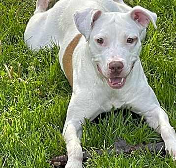 Photo of Luna