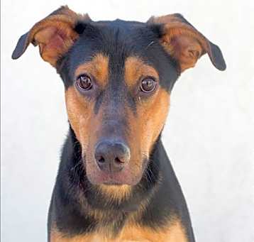 Photo of CRUZ