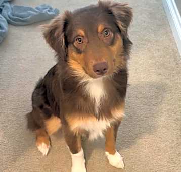 Photo of Jameson