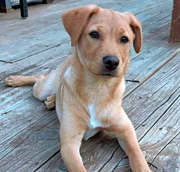 Photo of Teensy-Weensy