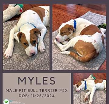 Photo of Myles