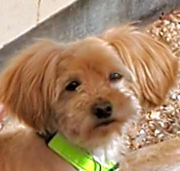 Photo of MOCHA