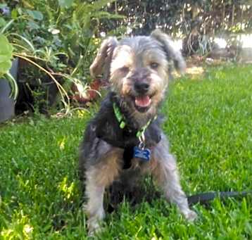 Photo of Matilda