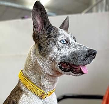 Photo of Oliver aka Olly
