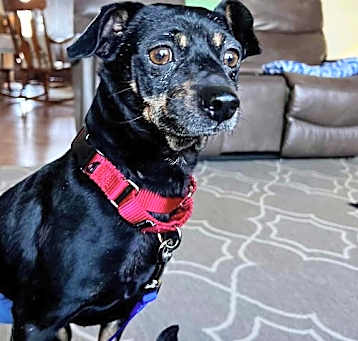 Photo of Bentley