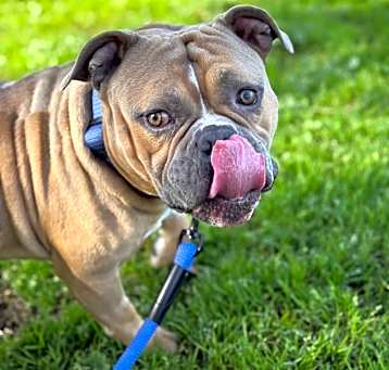 Photo of Gus