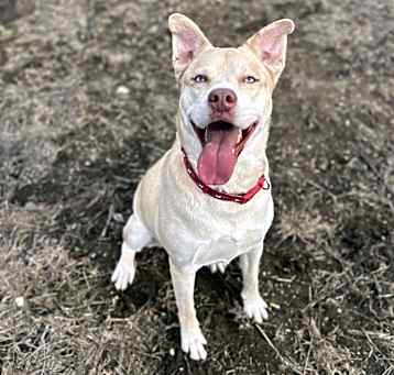 Photo of Mabel