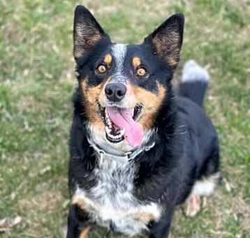 Photo of Rookie