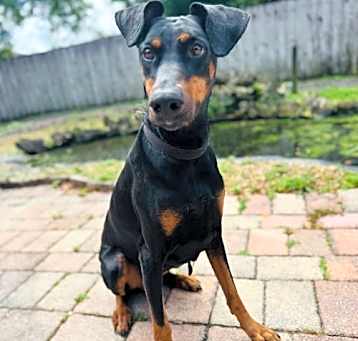 Photo of Nyla 3288
