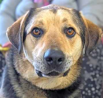 Photo of Jager