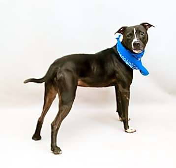 Photo of FLYNN