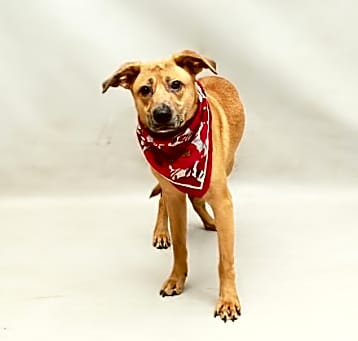 Photo of BOO