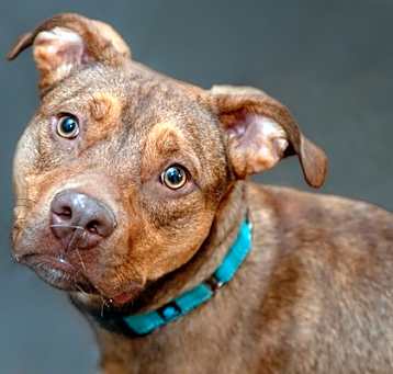 Photo of Maverick