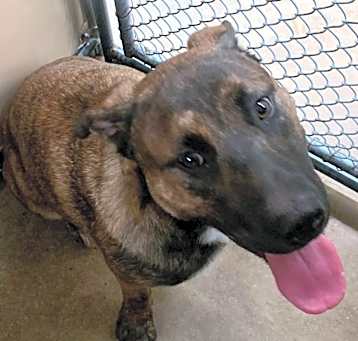 Photo of 241116K084 Axel