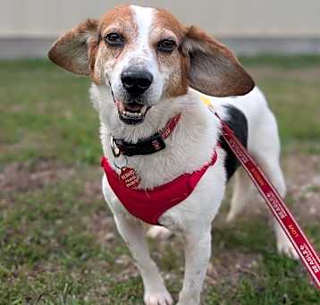 Photo of Wallace
