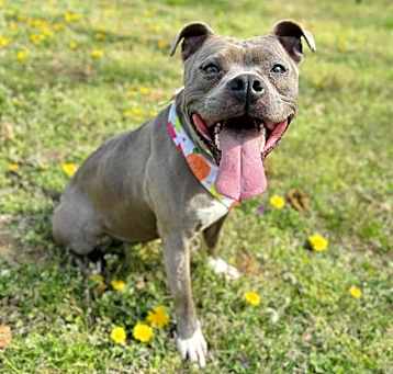 Photo of SNOOKIE