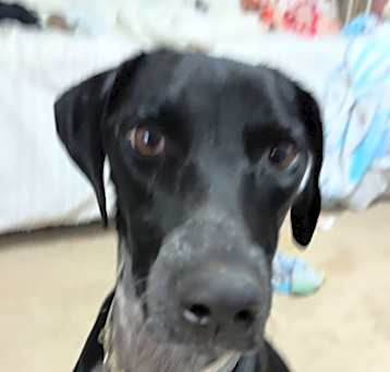 Photo of mocha