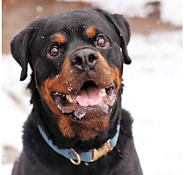 Photo of Zero