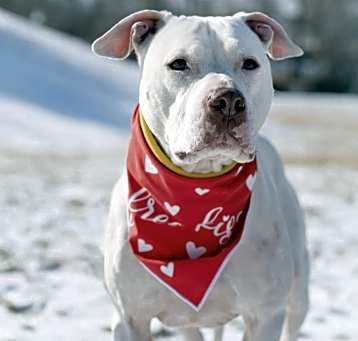 Photo of Olaf