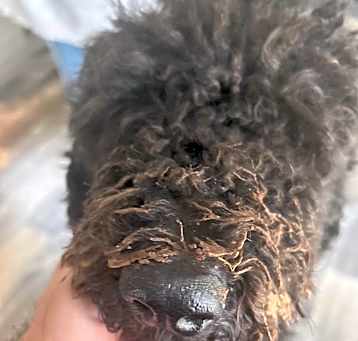 Photo of Cash