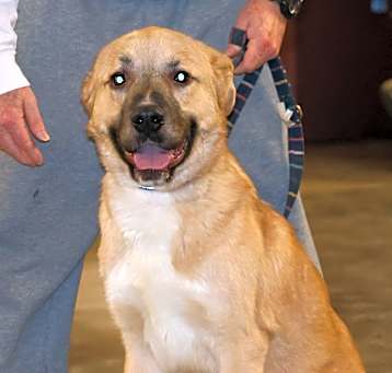 Photo of Scottie