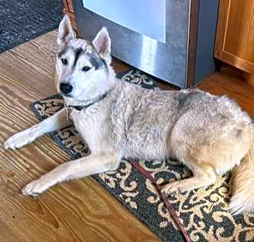 Photo of Oakley