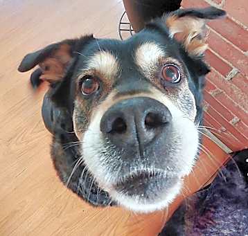 Photo of Kodah