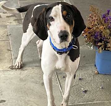 Photo of Paddy