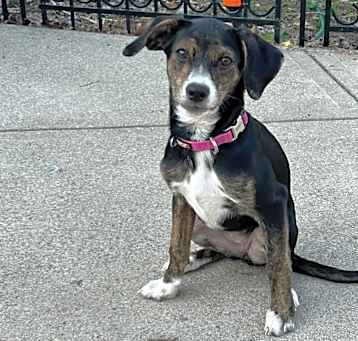 Photo of Baylor