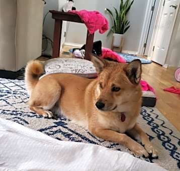 Photo of Kira