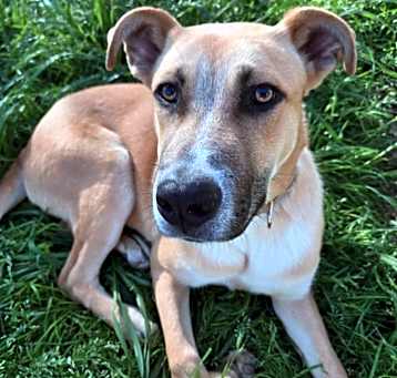 Photo of Cash