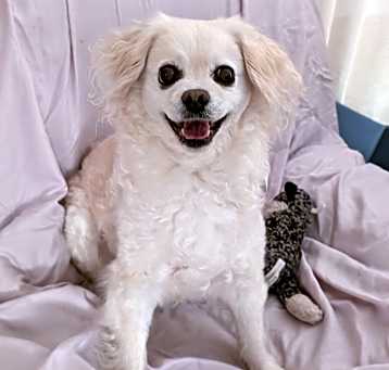 Photo of Delilah 