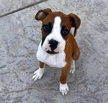 Photo of Kairo